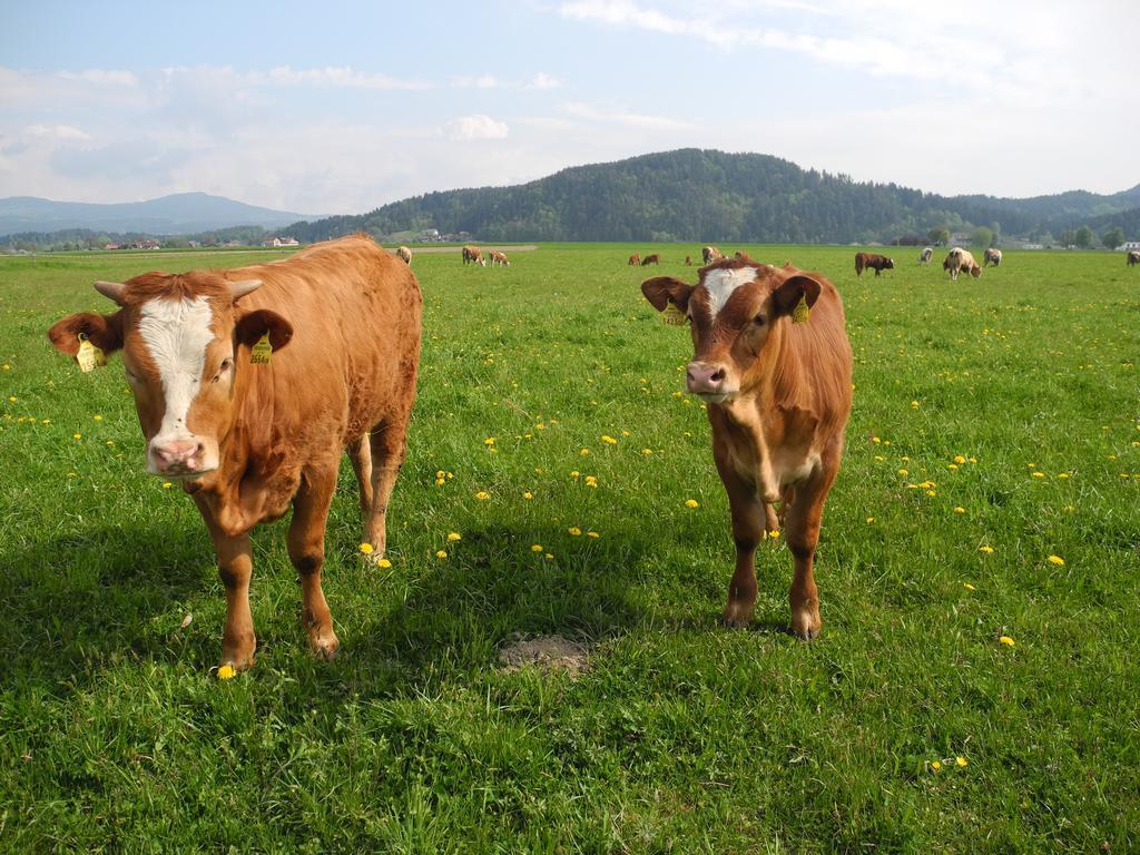 Ferienwohnung Sima Velden am Wörthersee Exteriér fotografie